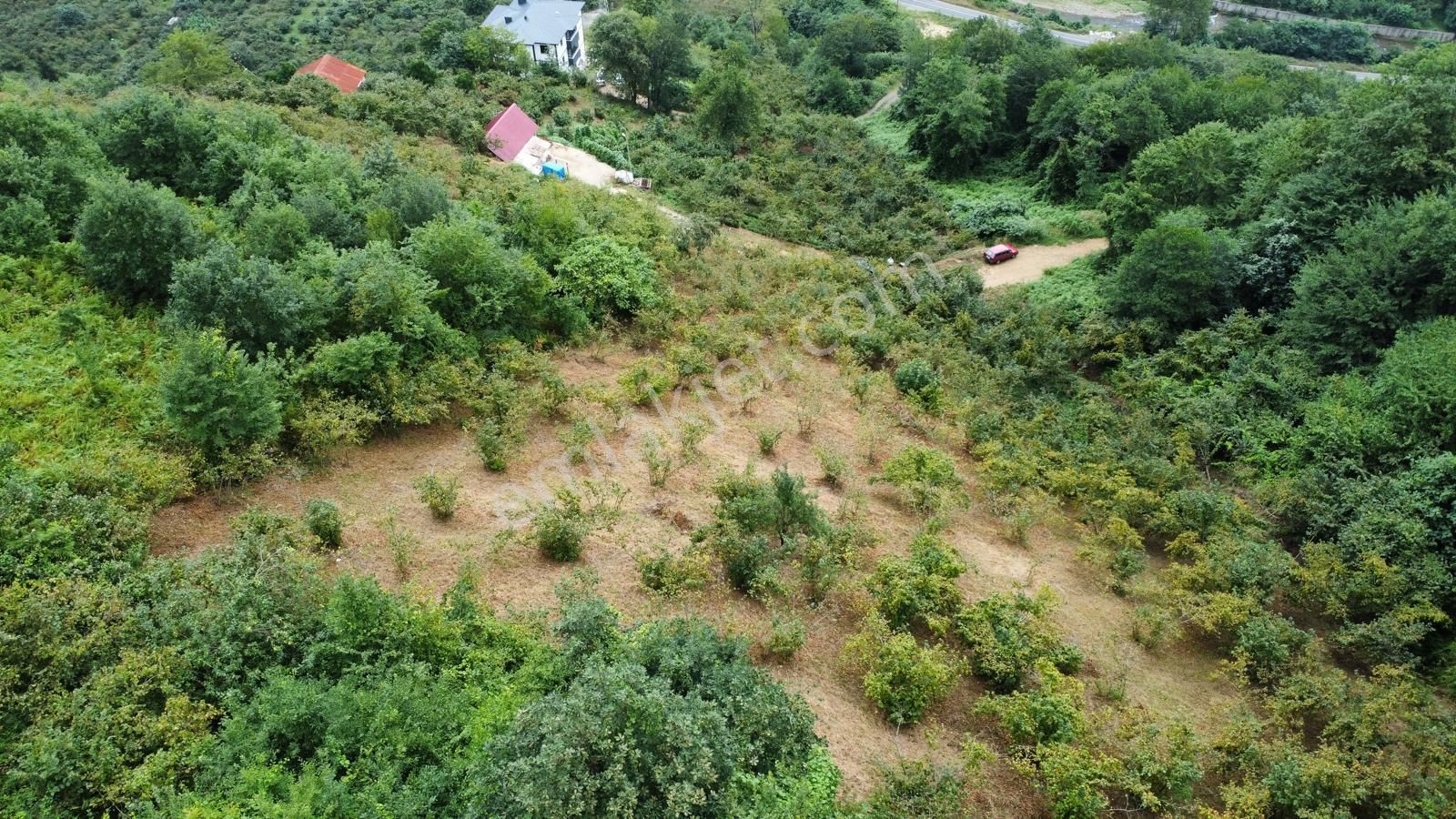 Trabzon Araklı'da Satılık Arazi - Görsel 9