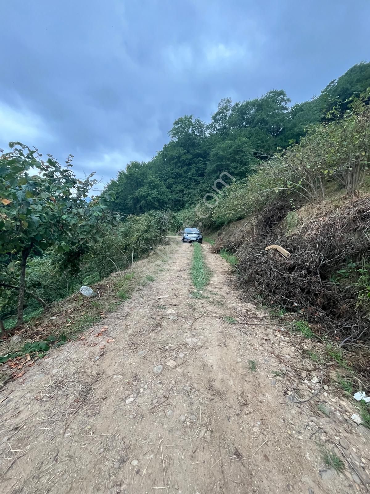 Trabzon Araklı'da Satılık Arazi - Görsel 31