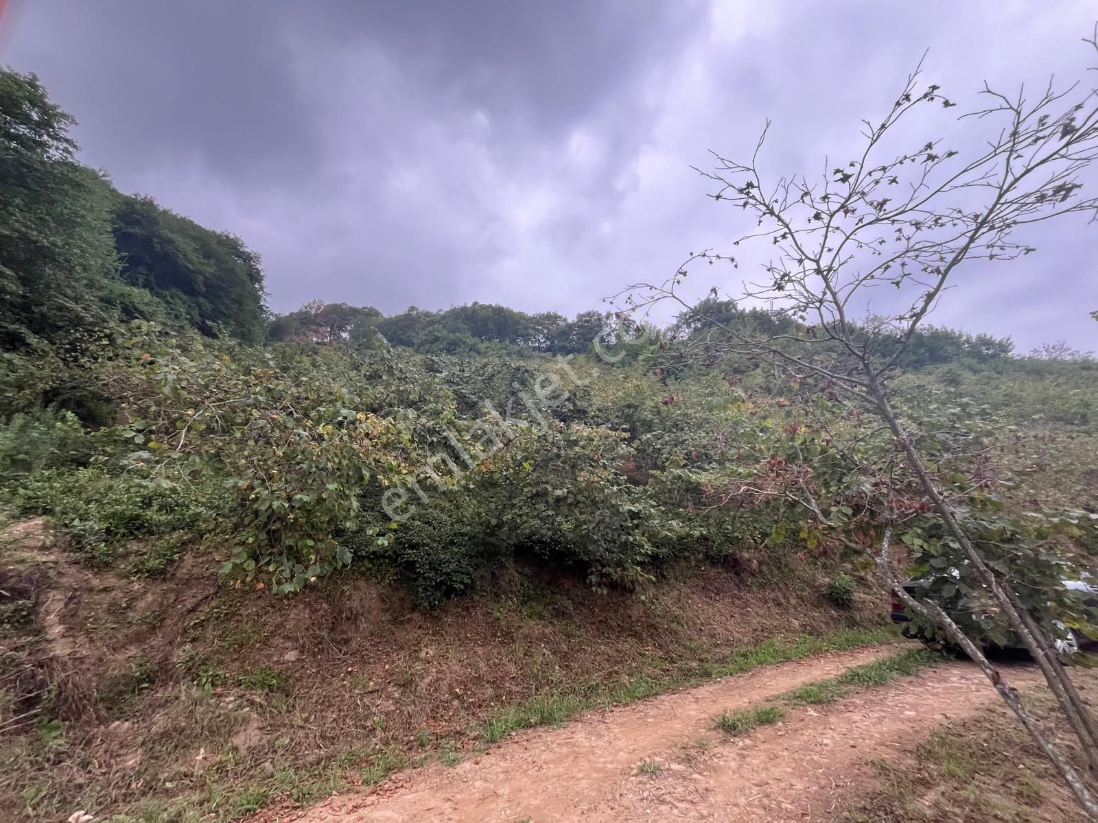 Trabzon Araklı'da Satılık Arazi - Görsel 26