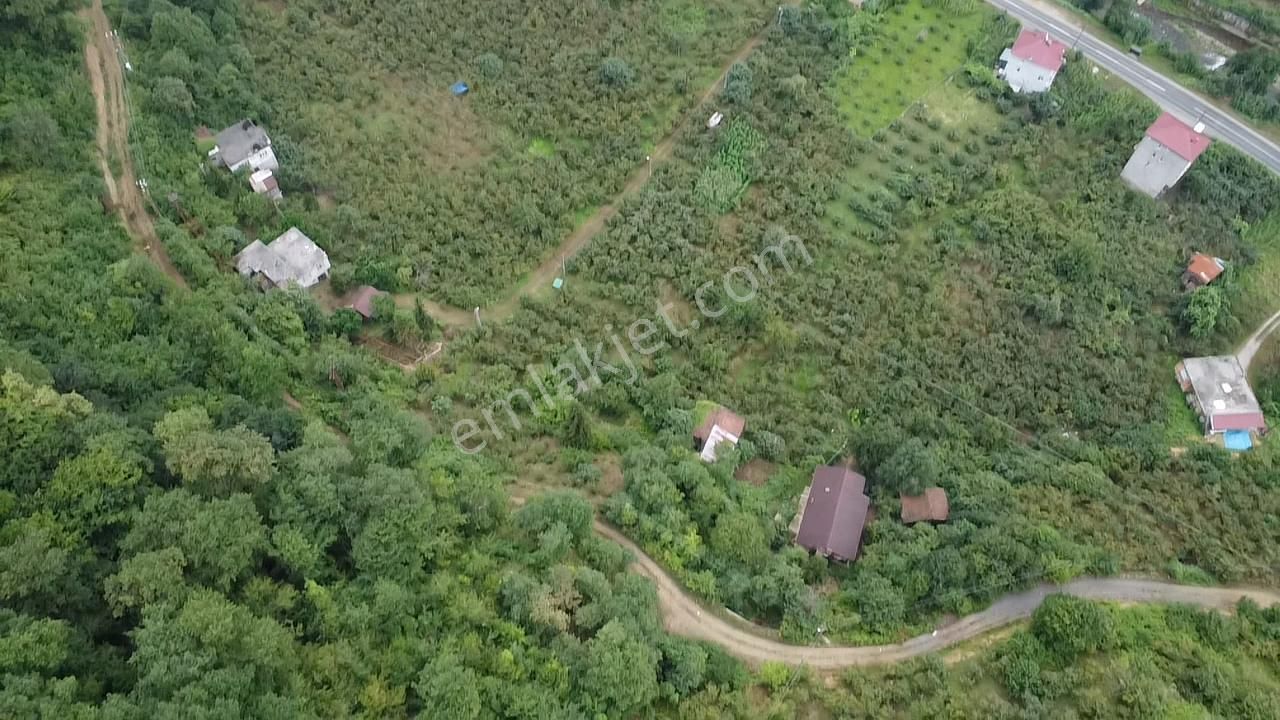 Trabzon Araklı'da Satılık Arazi - Görsel 19