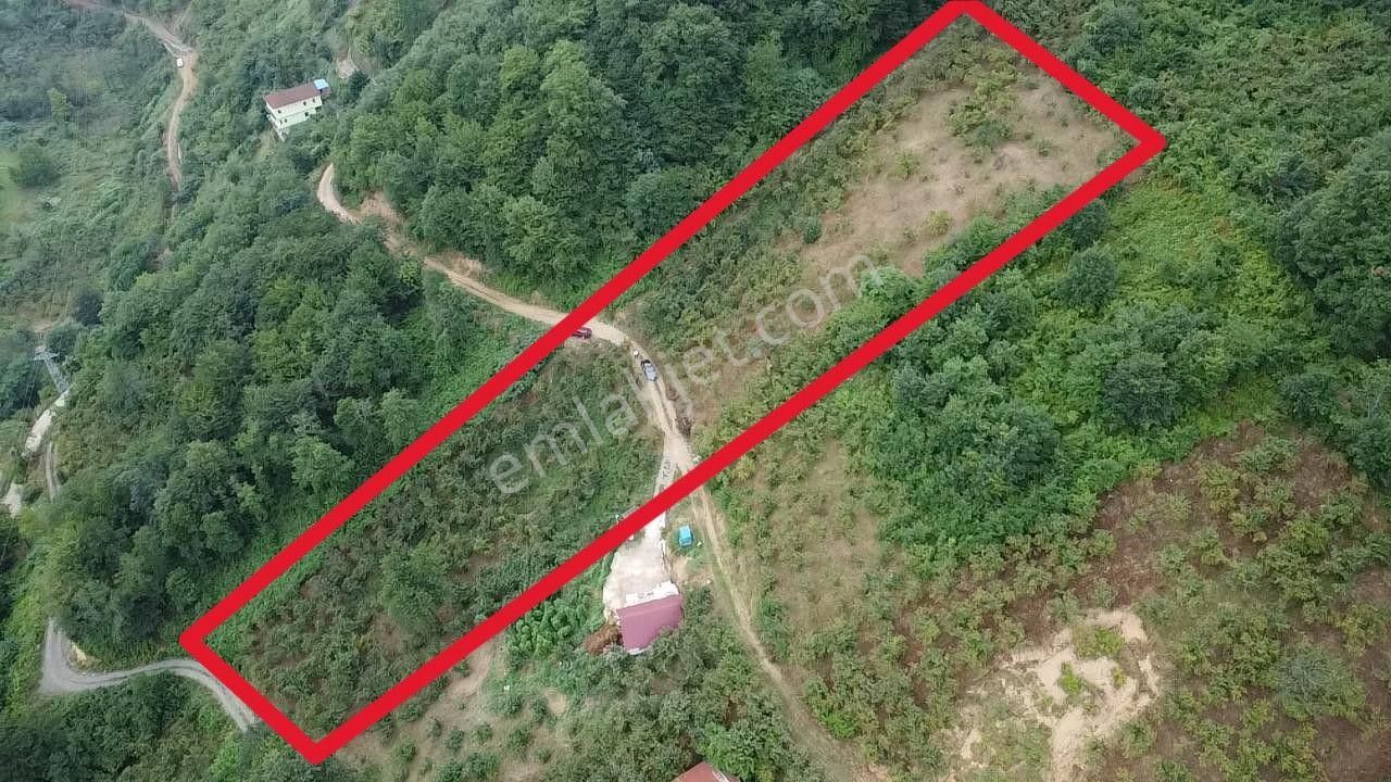 Trabzon Araklı'da Satılık Arazi