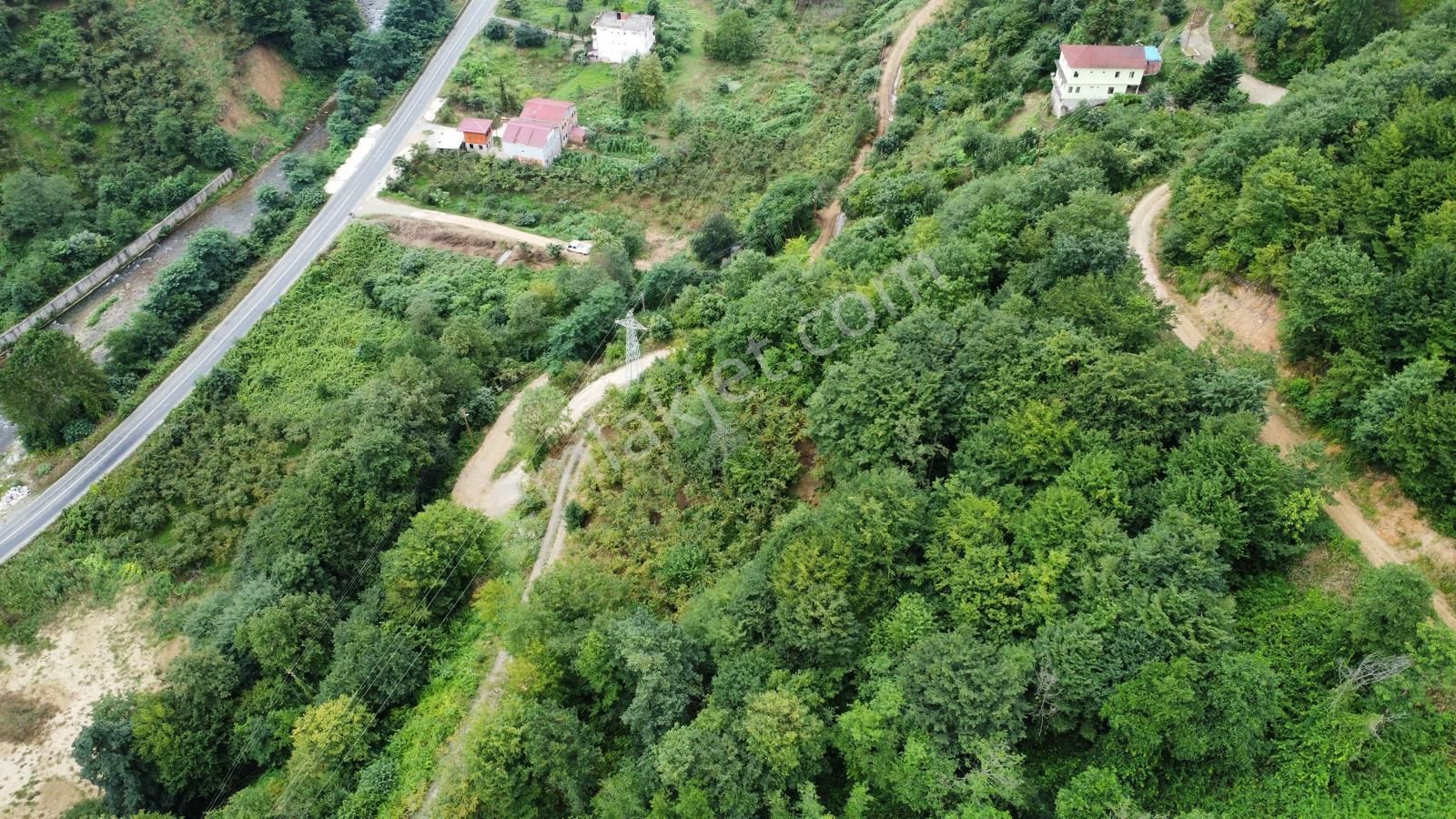 Trabzon Araklı'da Satılık Arazi - Görsel 11