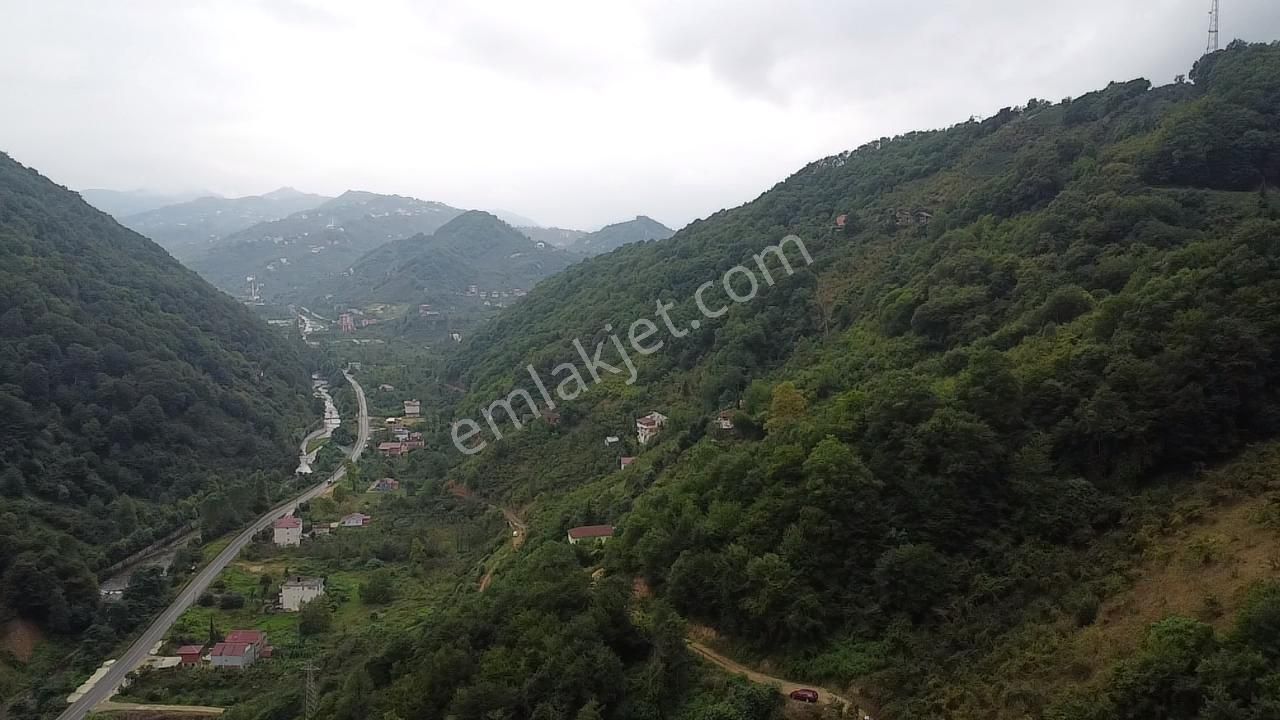 Trabzon Araklı'da Satılık Arazi - Görsel 22