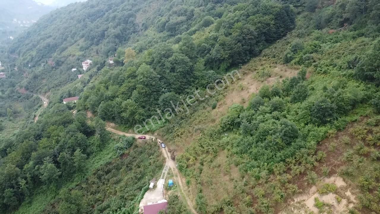 Trabzon Araklı'da Satılık Arazi - Görsel 10