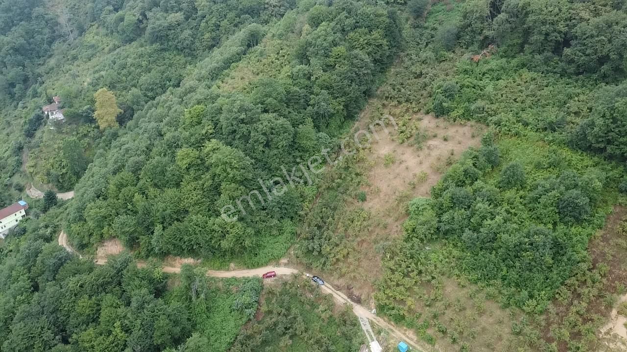 Trabzon Araklı'da Satılık Arazi - Görsel 16