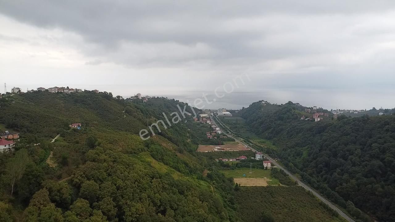 Trabzon Araklı'da Satılık Arazi - Görsel 8