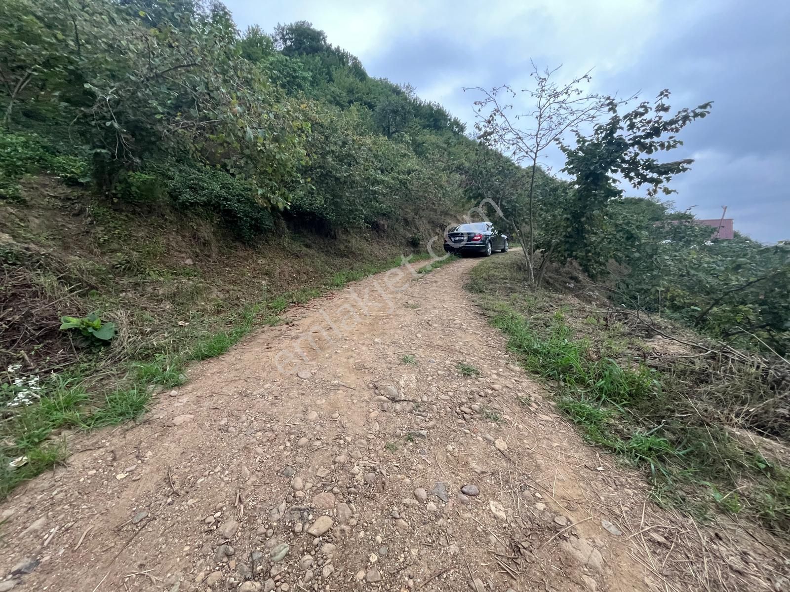 Trabzon Araklı'da Satılık Arazi - Görsel 25