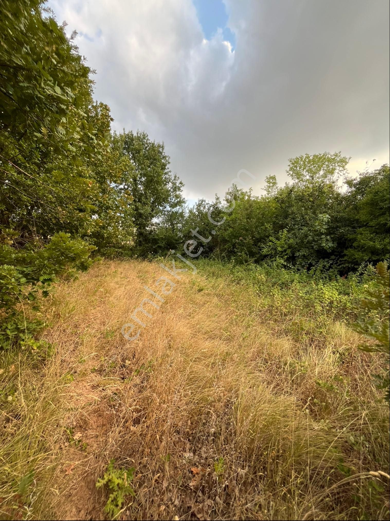 Erdoğanköy De Yatırımlık Yada Hobi Bahçesi