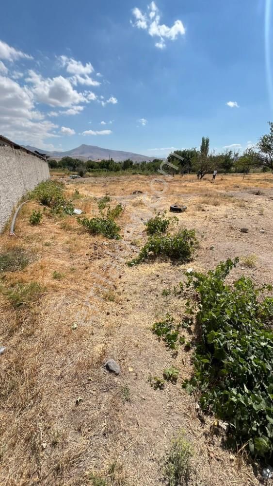 Anadolu Emlaktan Güneyaşağıda 750m2 Satılık Bağ - Görsel 9