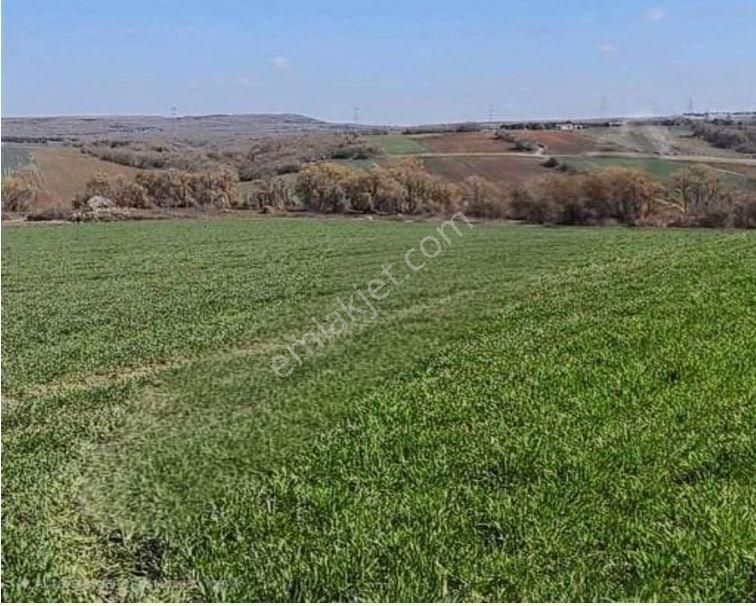 Büyükkılıçlı-silivri, Köye 1.300 Metre, Yatırımlık En İyi Fiyat!