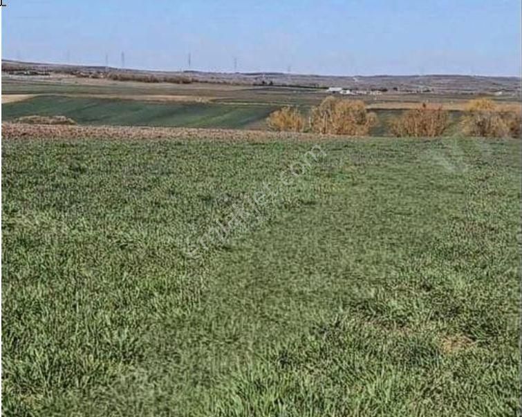 Büyükkılıçlı-silivri, Köye 1.300 Metre, Yatırımlık En İyi Fiyat! - Görsel 2