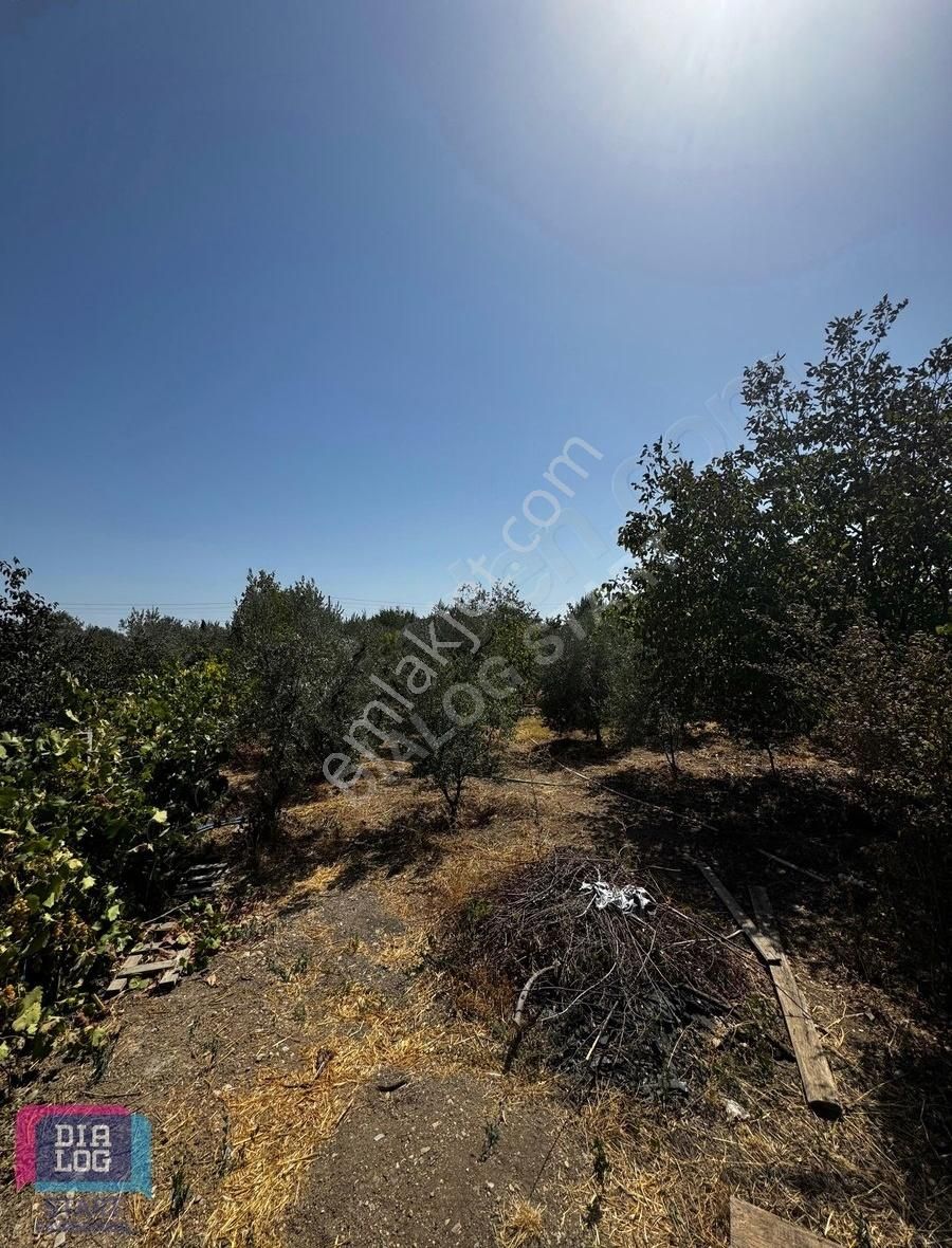 Menderes Kısıkköy' De İmarlı Satılık Arsa - Görsel 11