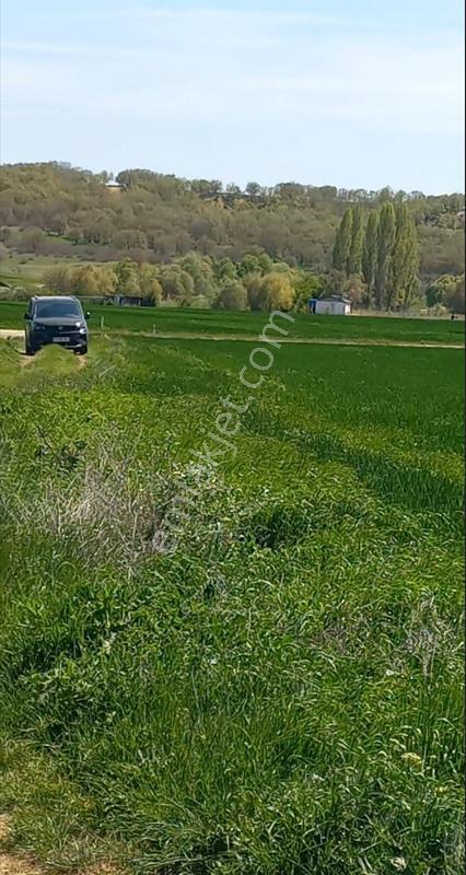 Poyrazdan Lüleburgaz Ertuğrul Köyünde Satılık Tarla - Görsel 2