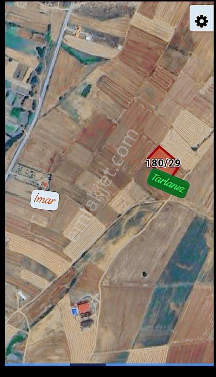 Pınarhisar Cevizköy'de İmara 250 Metre 4640m2 Tarla - Görsel 4