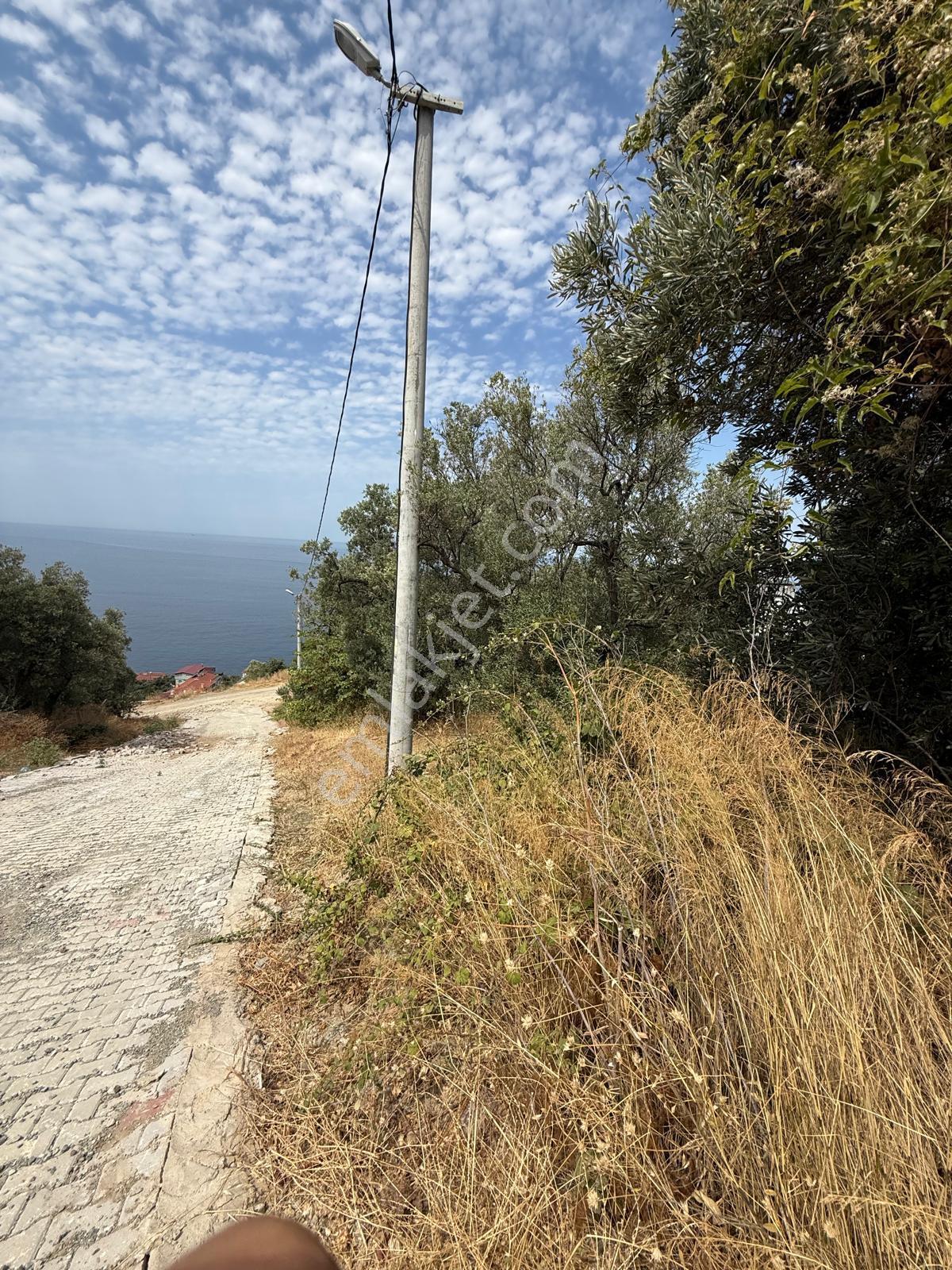 Yalova Esenköyde Muhteşem Deniz Manzaralı Villa İmarlı Arsa - Görsel 7