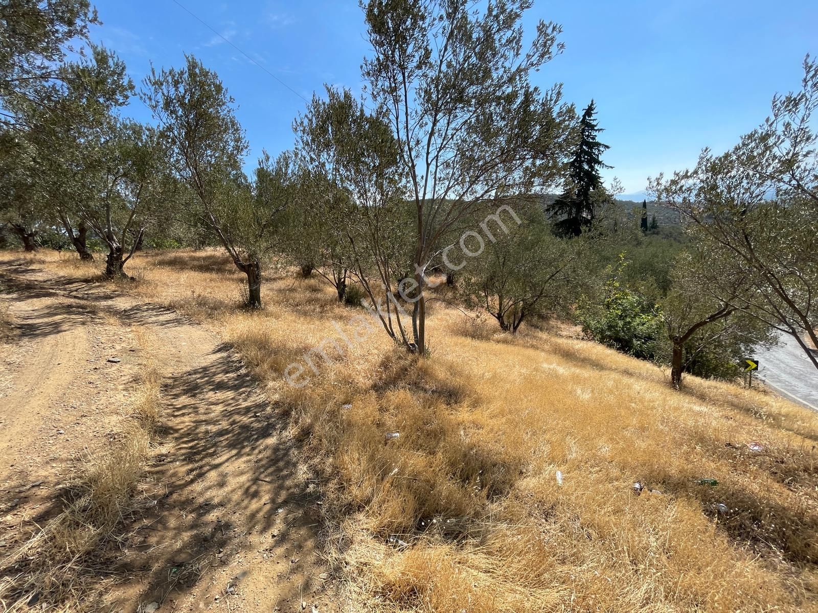 Akçay Poyraz Gayrimenkul'den Beyoba'da Satılık 3870m2 Deniz Manzaralı Zeytinlik - Görsel 27
