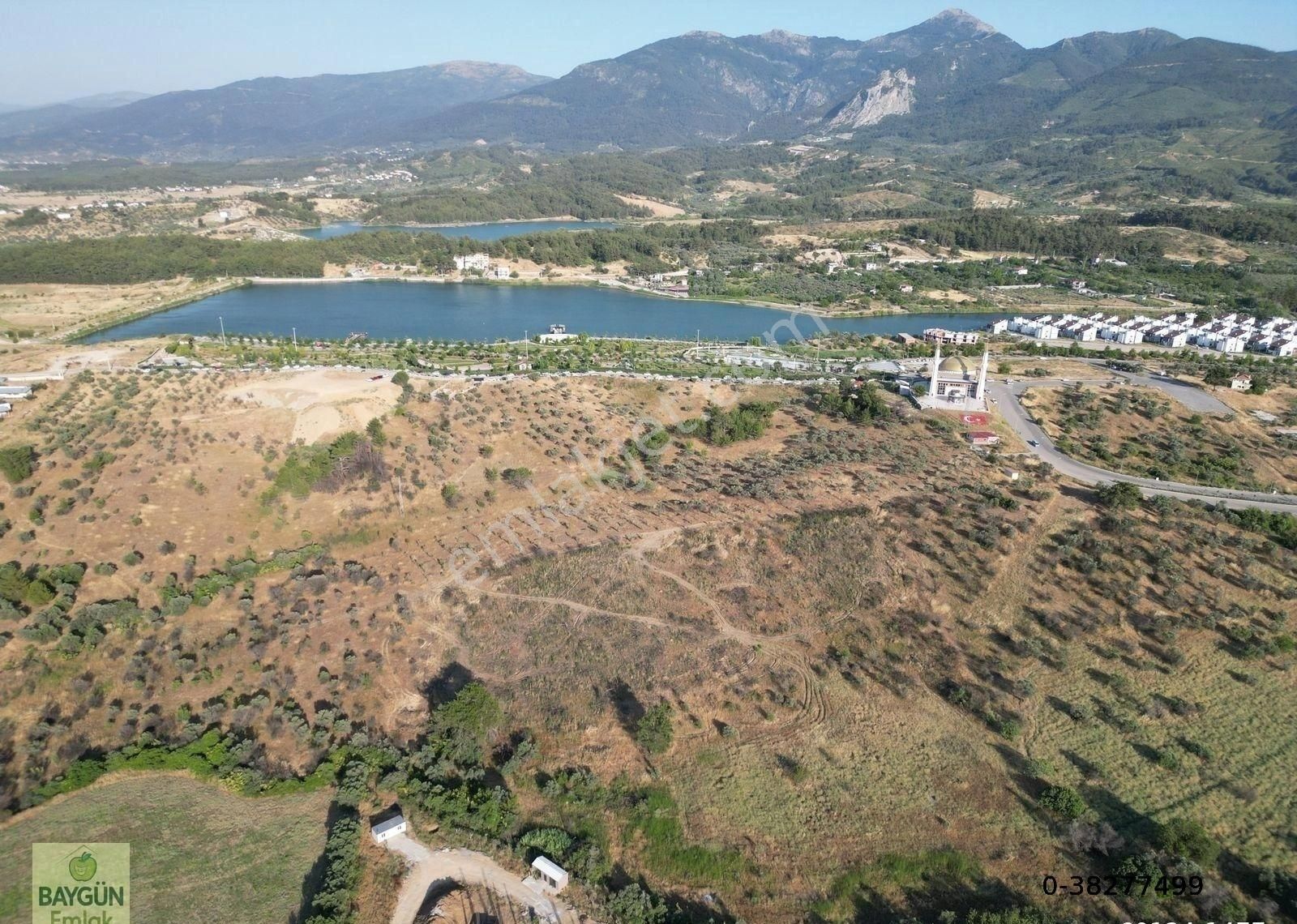 Kemalpaşa Çiniliköy Satılık Zeytinlik 4150m2 Tek Tapu - Görsel 6