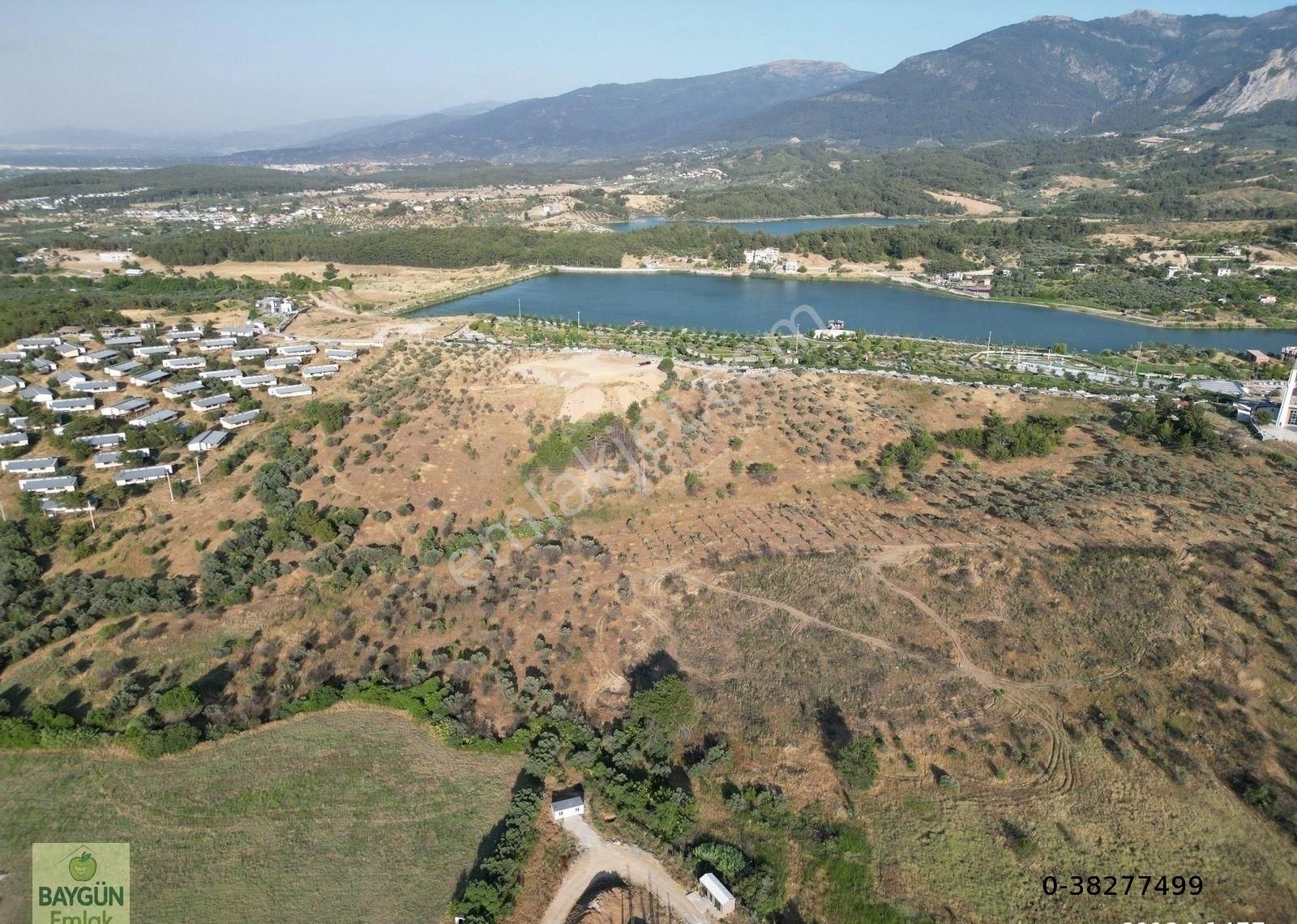 Kemalpaşa Çiniliköy Satılık Zeytinlik 4150m2 Tek Tapu - Görsel 7