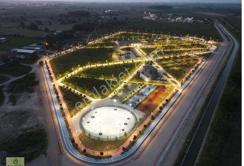 Kemalpaşa Çiniliköy Satılık Zeytinlik 4150m2 Tek Tapu - Görsel 12