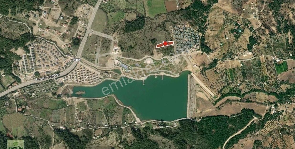 Kemalpaşa Çiniliköy Satılık Zeytinlik 4150m2 Tek Tapu - Görsel 5