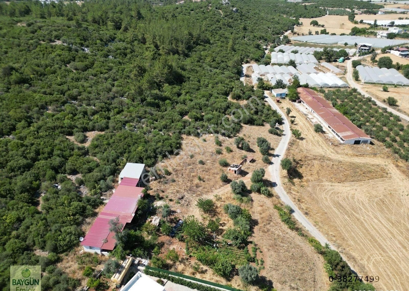 Menderes Ataköy Satılık Tarla Ve Ev 1900m2+4300m2 Müstakil Parsl - Görsel 14