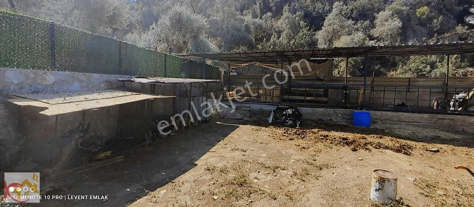 Milas Selimiye Kandak Mevkiinde Satılık Ev, Dam Ve Bahçe - Görsel 11