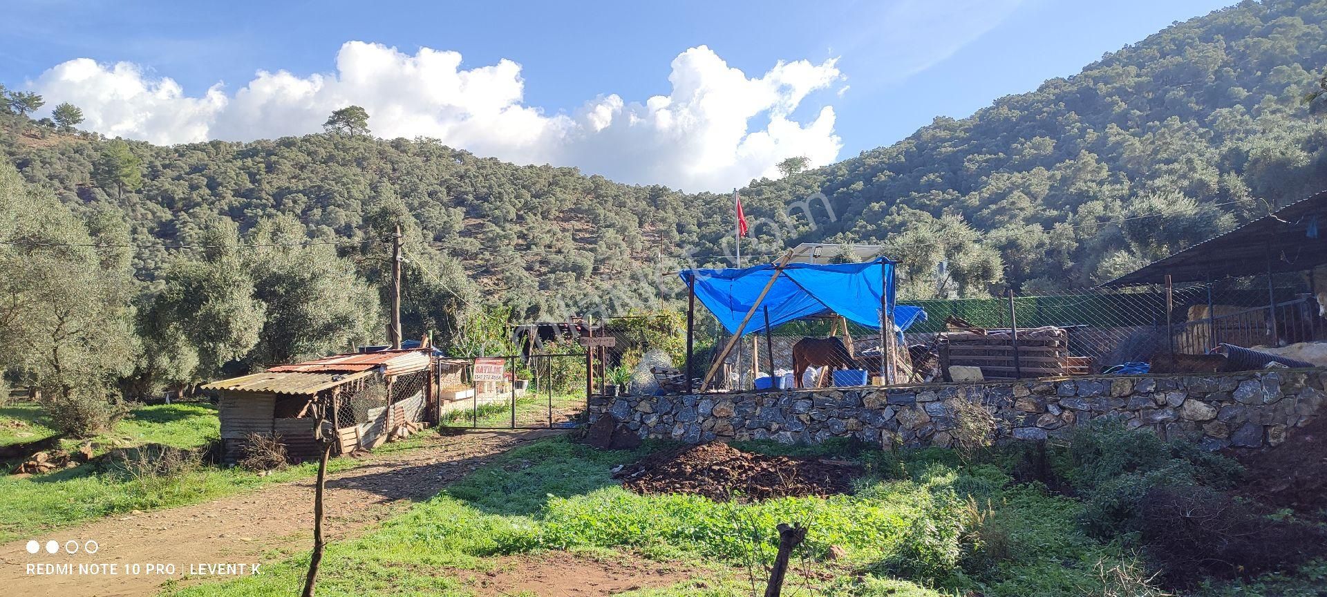 Milas Selimiye Kandak Mevkiinde Satılık Ev, Dam Ve Bahçe