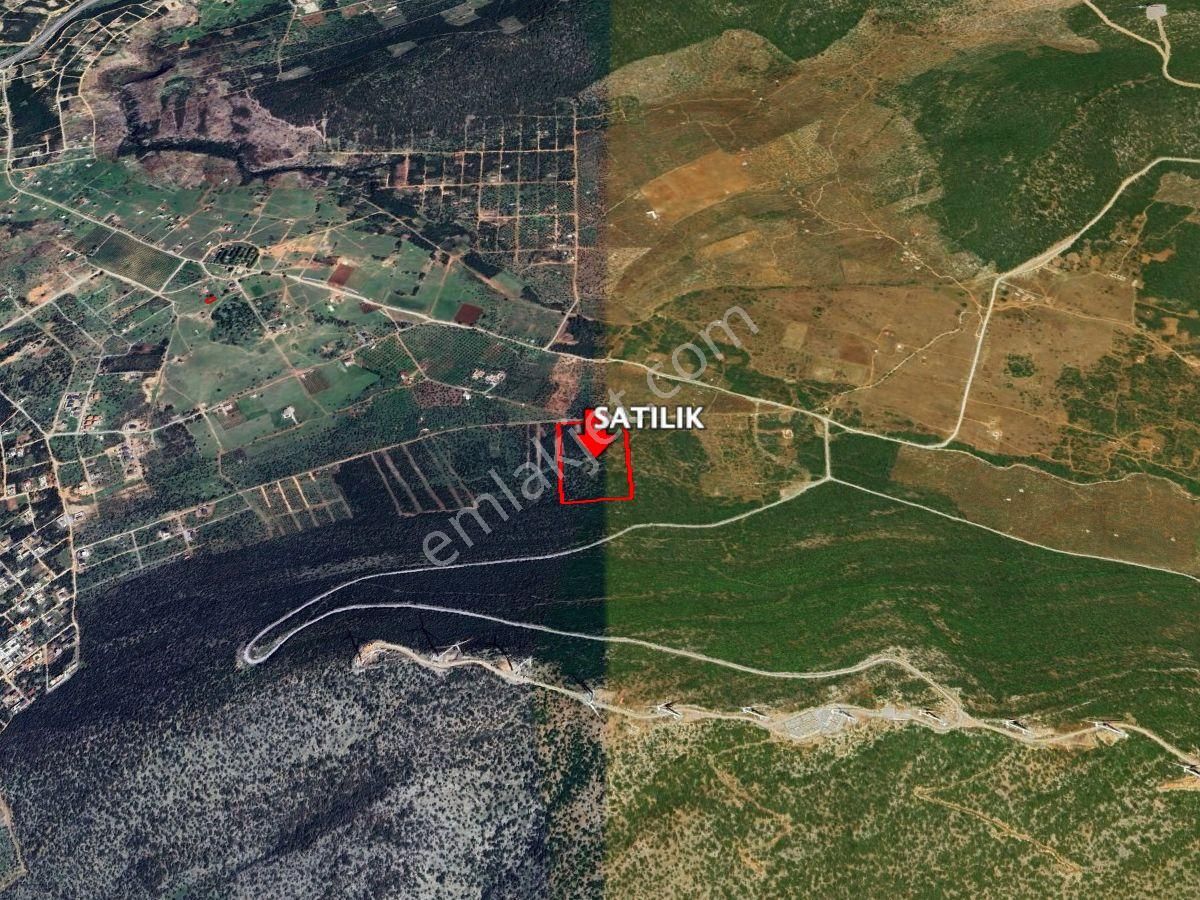 Dıdım Balova’da Elektrık Ve Su Altyapılı Yatırımlık Zeytınlık & Tarla Tapuları - Görsel 5