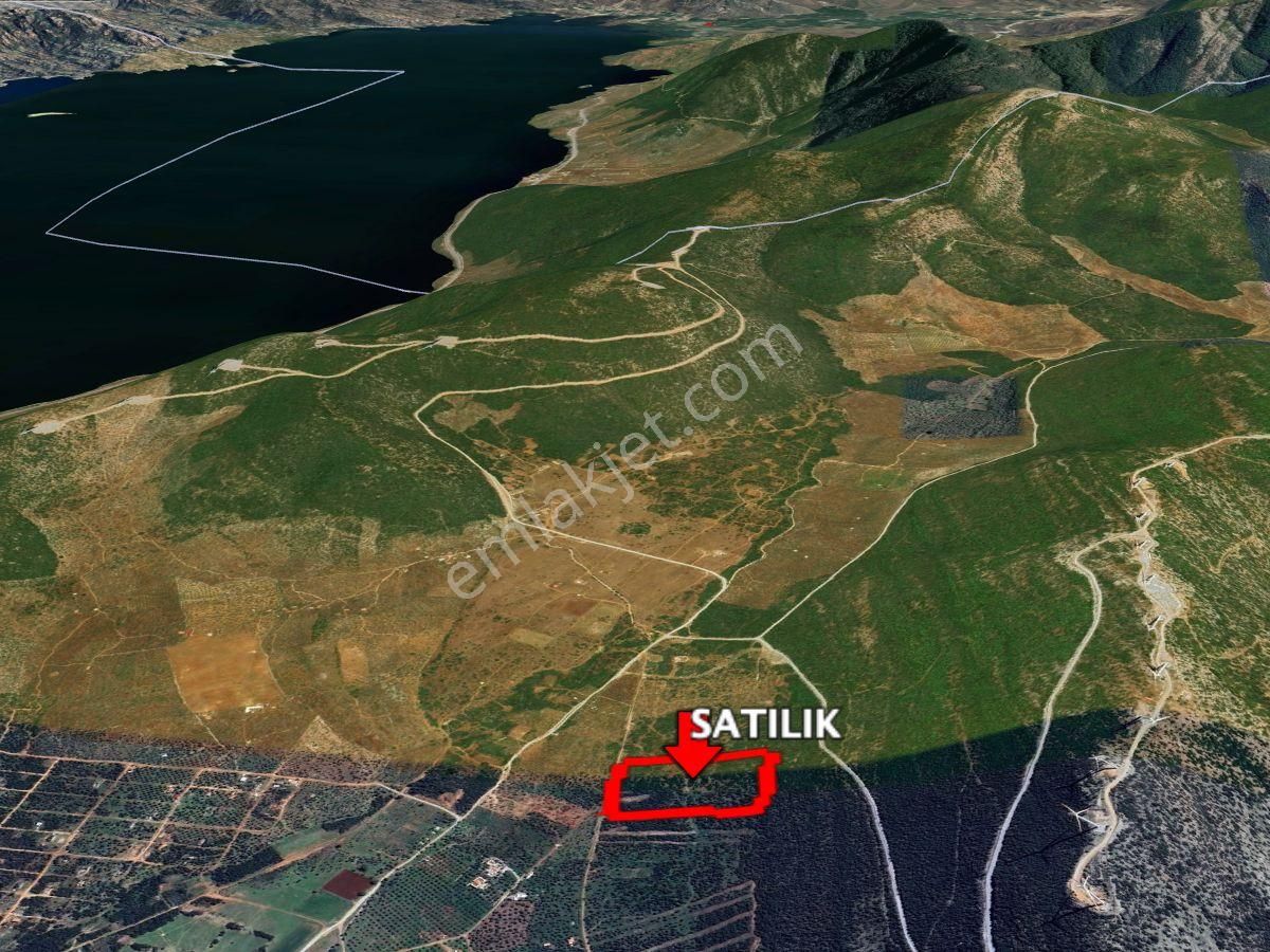 Dıdım Balova’da Elektrık Ve Su Altyapılı Yatırımlık Zeytınlık & Tarla Tapuları - Görsel 4