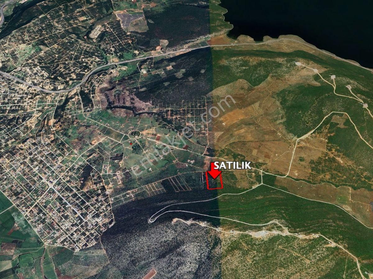 Dıdım Balova’da Elektrık Ve Su Altyapılı Yatırımlık Zeytınlık & Tarla Tapuları - Görsel 3