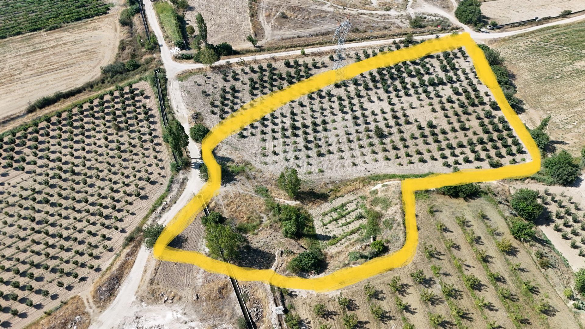 Blokyapı Gayrimenkul'den Kaklık'ta 9645 M2 Cennet Elması Bahçesi - Görsel 3