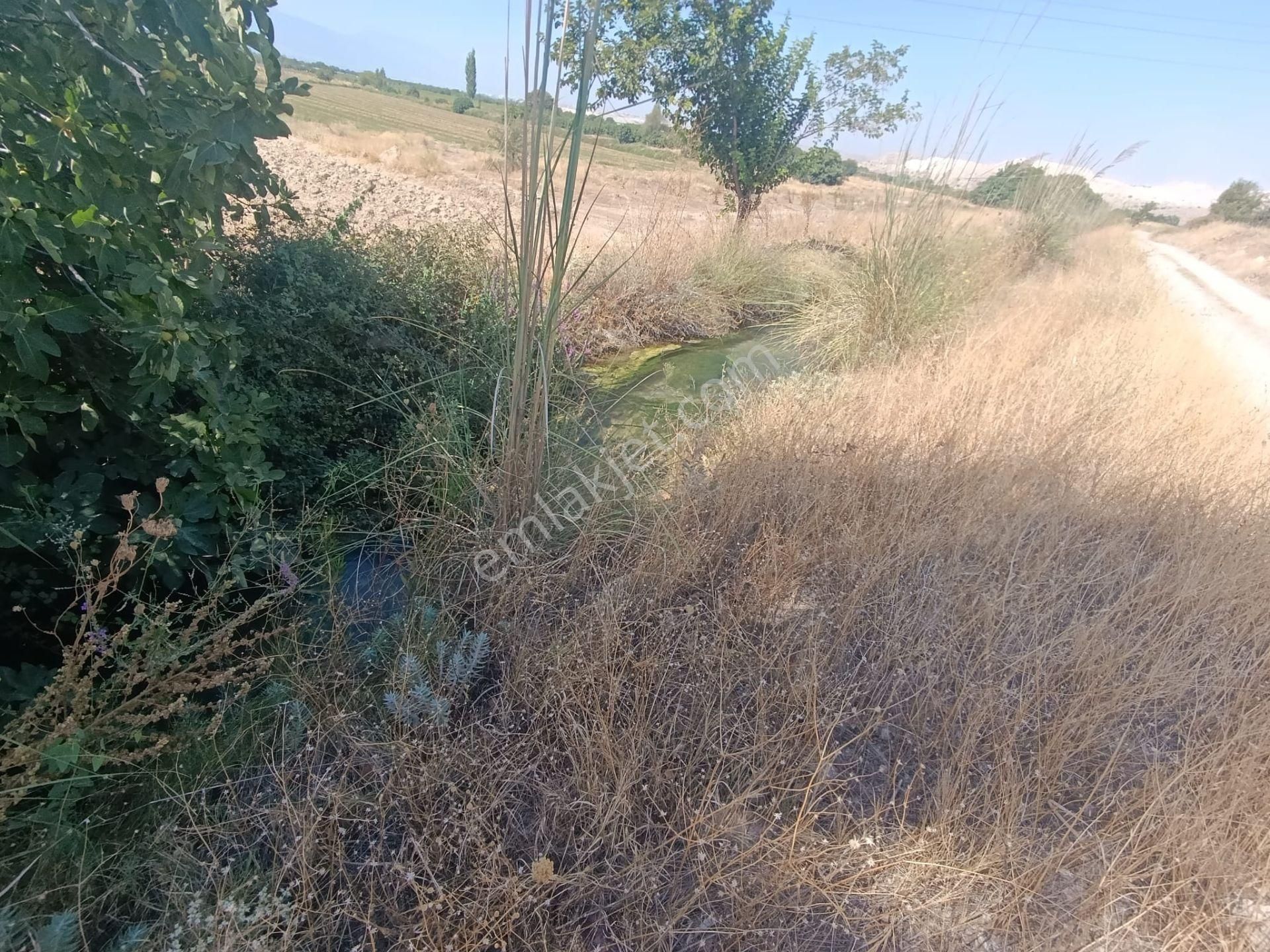 Blokyapı Gayrimenkul'den Kaklık'ta 9645 M2 Cennet Elması Bahçesi - Görsel 9