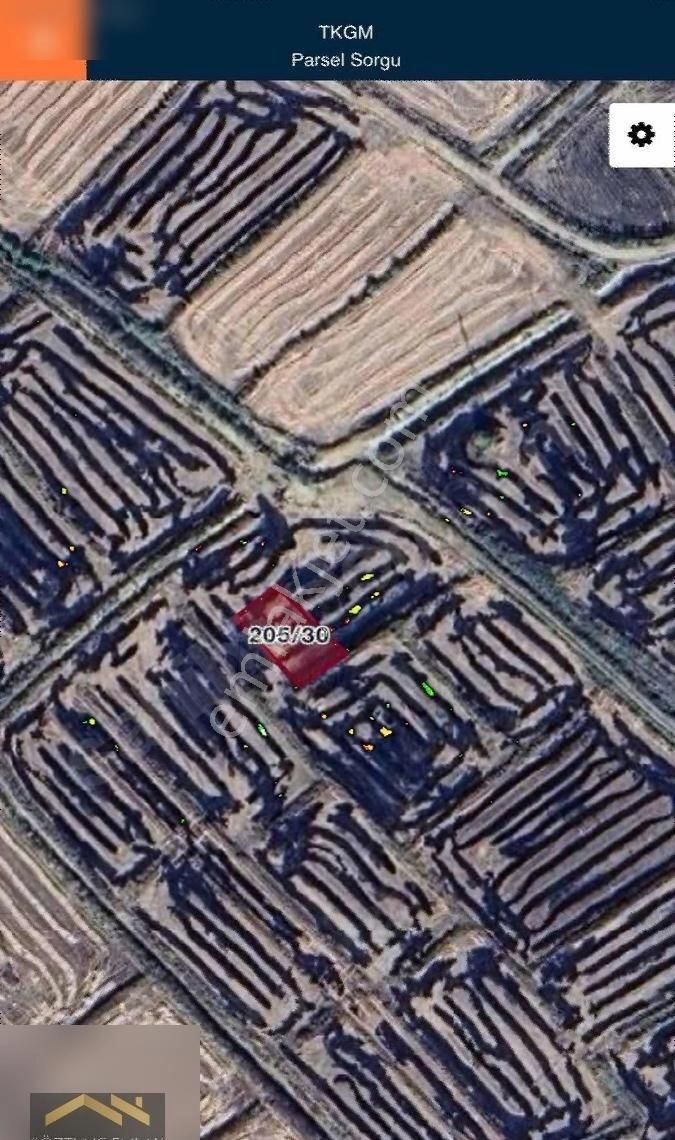 Edirne Meriç Hasırcıarnavutta Köye Çok Yakın 365 M2 - Görsel 4