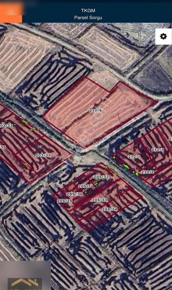 Edirne Meriç Hasırcıarnavutta Köye Çok Yakın 365 M2