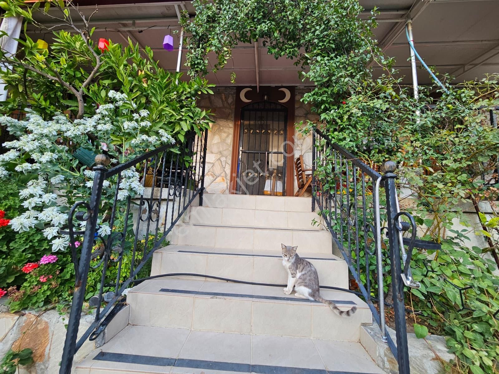 Startkey Anka Dan Pelitköy Merkezde Tarih Kokan Taş Ev - Görsel 2