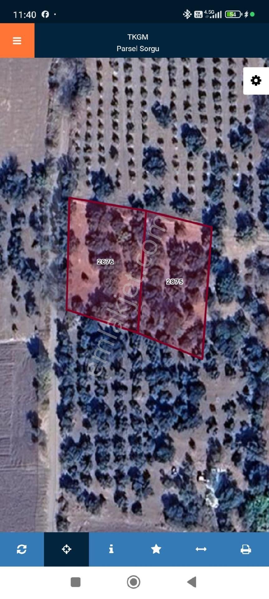 Bergama’da Kadastro Yola Sıfır 2 Ayrı Tapu Zeytinlik (1.024 M² + 928 M²) - Görsel 10