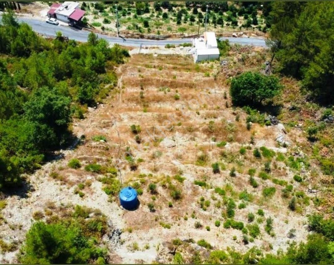 Alanya Dim Bucak Mah. 2.500m² Bahçe 2 Adet Eşyalı Konteyner Ev Acil Satılık - Görsel 15