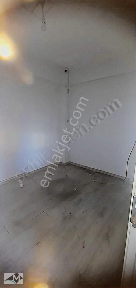 20 Tonluk Grey Anayola Yakın 20 Tonluk Gezer Vinçli 240 M2 - Görsel 3