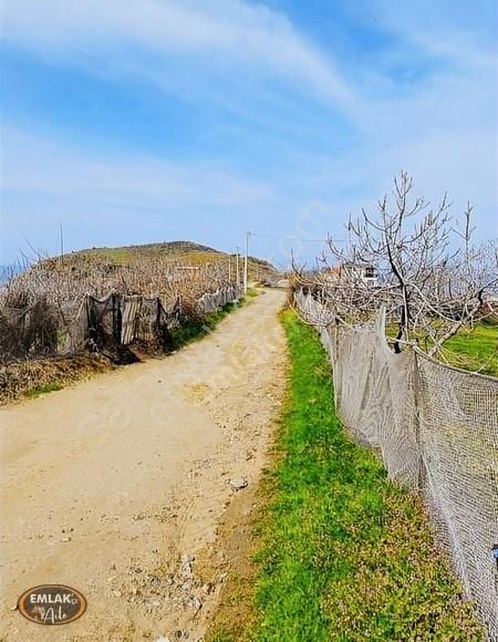 Erdek Kestanelik Mahallesinde 766 M² Satılık Üzüm Bağı - Görsel 27