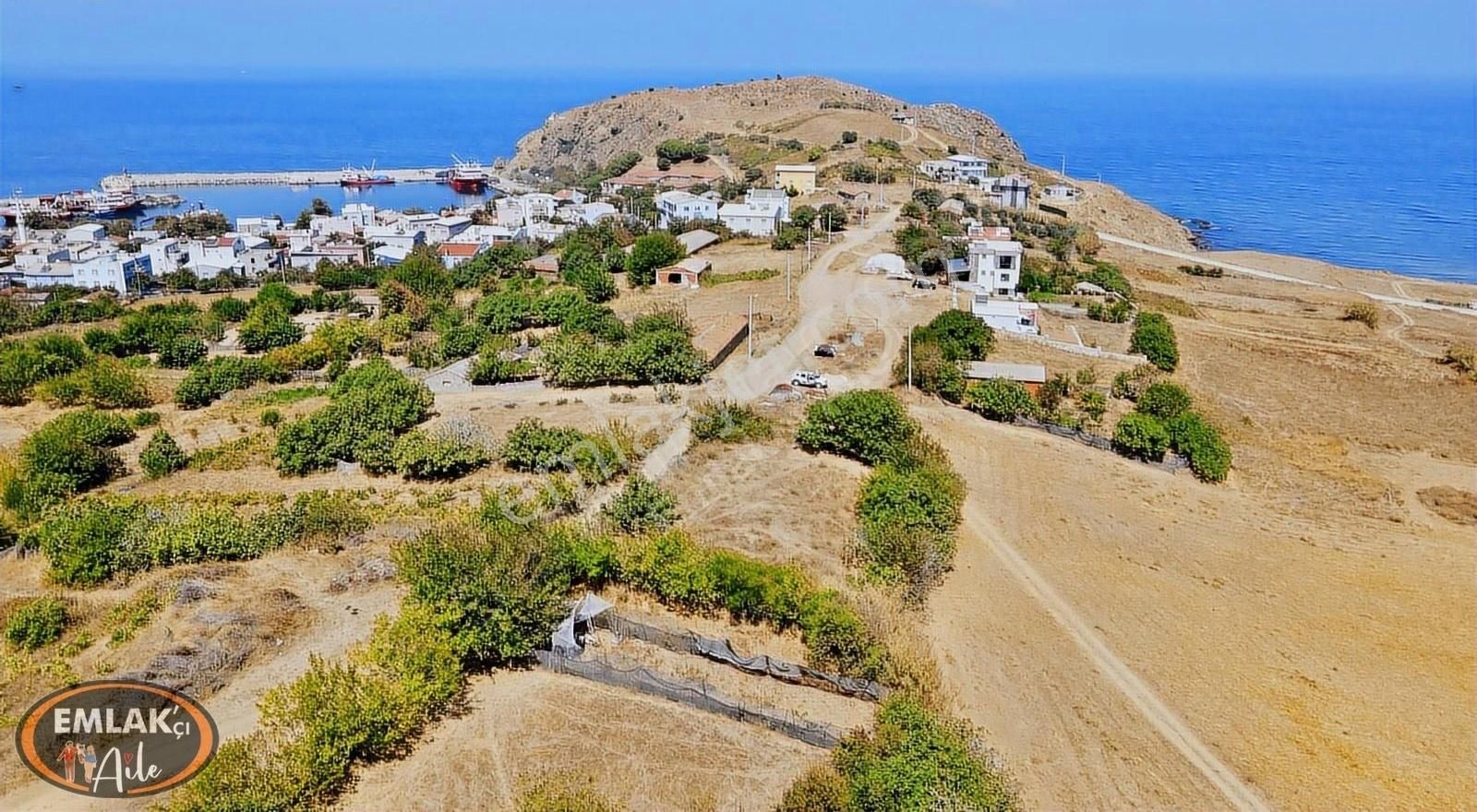 Erdek Kestanelik Mahallesinde 766 M² Satılık Üzüm Bağı - Görsel 8