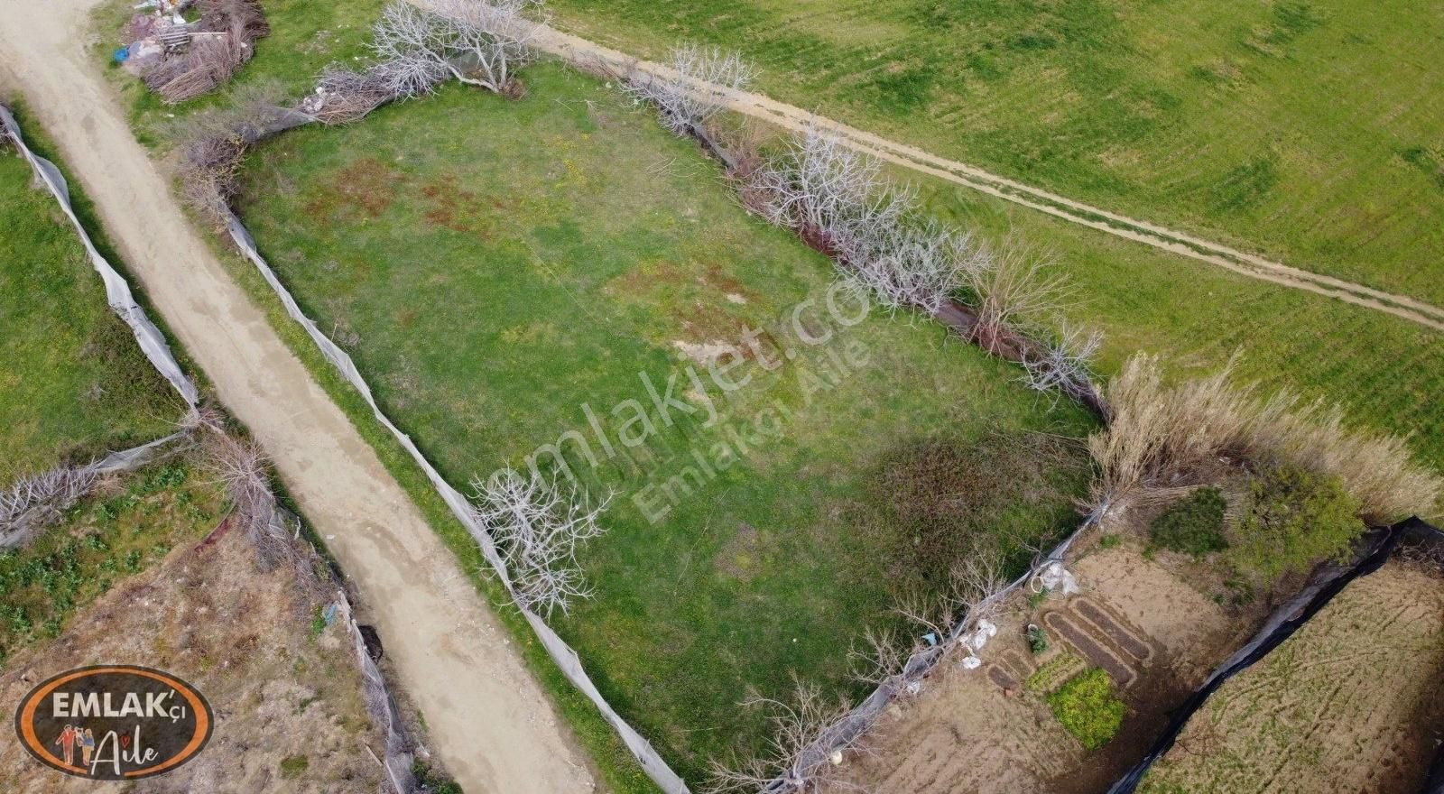 Erdek Kestanelik Mahallesinde 766 M² Satılık Üzüm Bağı - Görsel 5