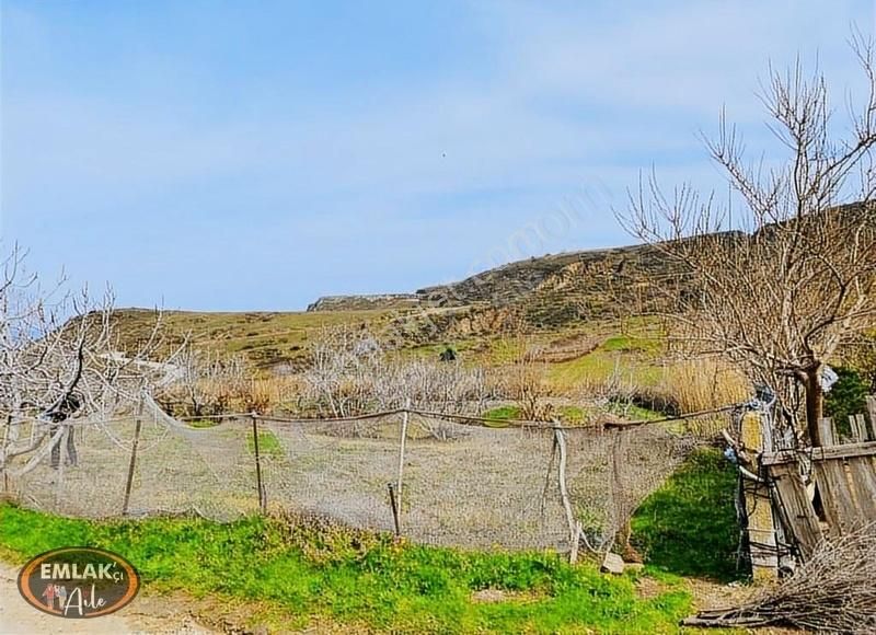 Erdek Kestanelik Mahallesinde 766 M² Satılık Üzüm Bağı - Görsel 26