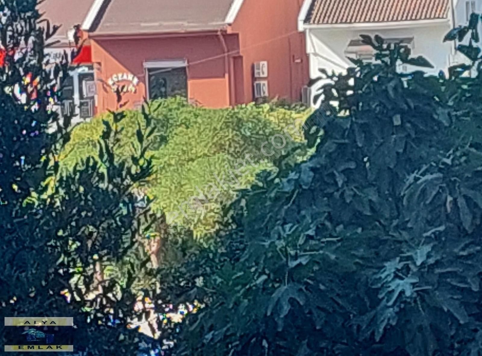 Bahçeşehir Defne Adasında 3+1 Satılık Boş 1. Kat Daire - Görsel 3