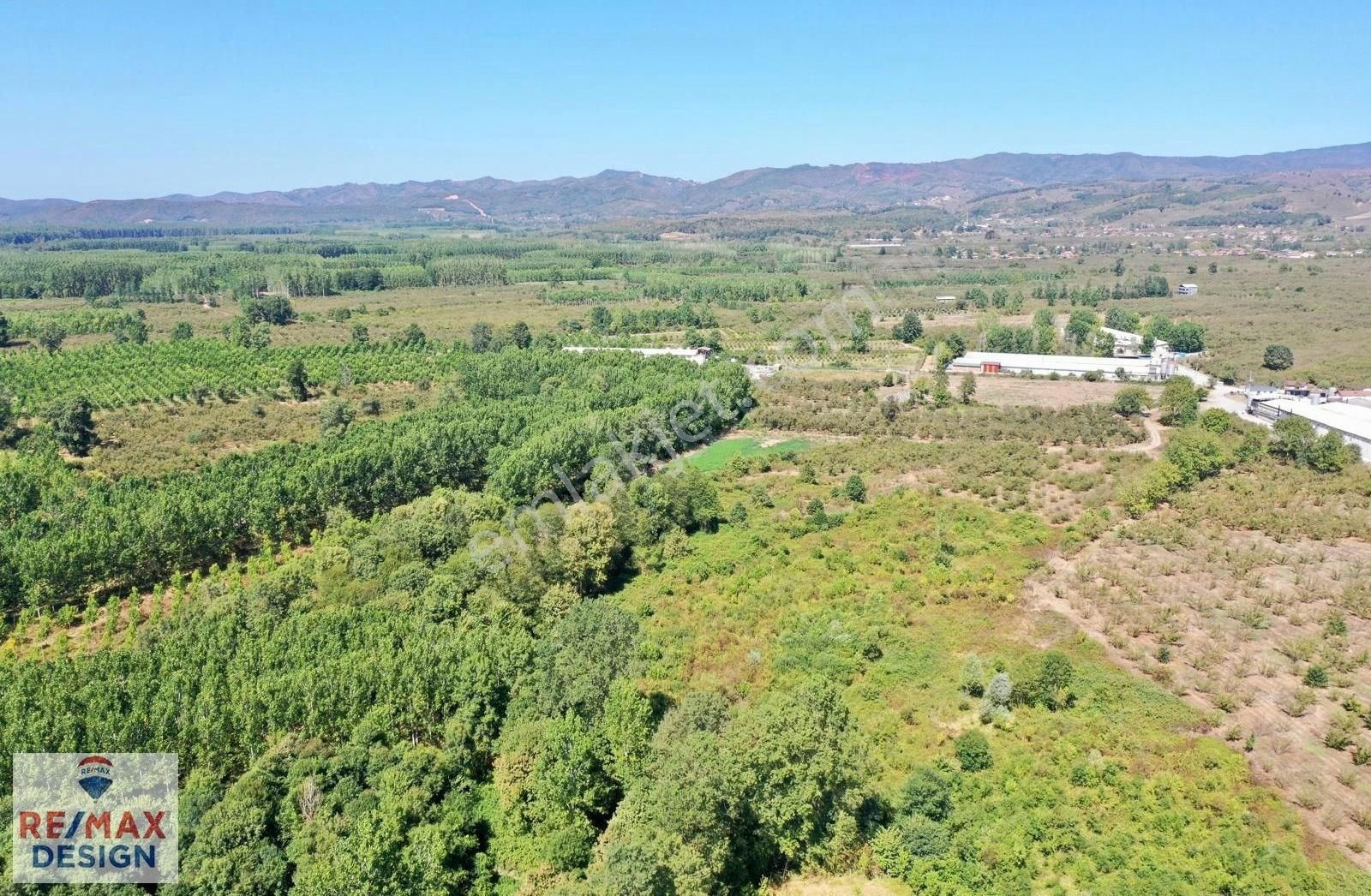 Remax Design Hendek Sivritepe'de 13.635m2 Çiftlik Ruhsatlı Arazi - Görsel 3