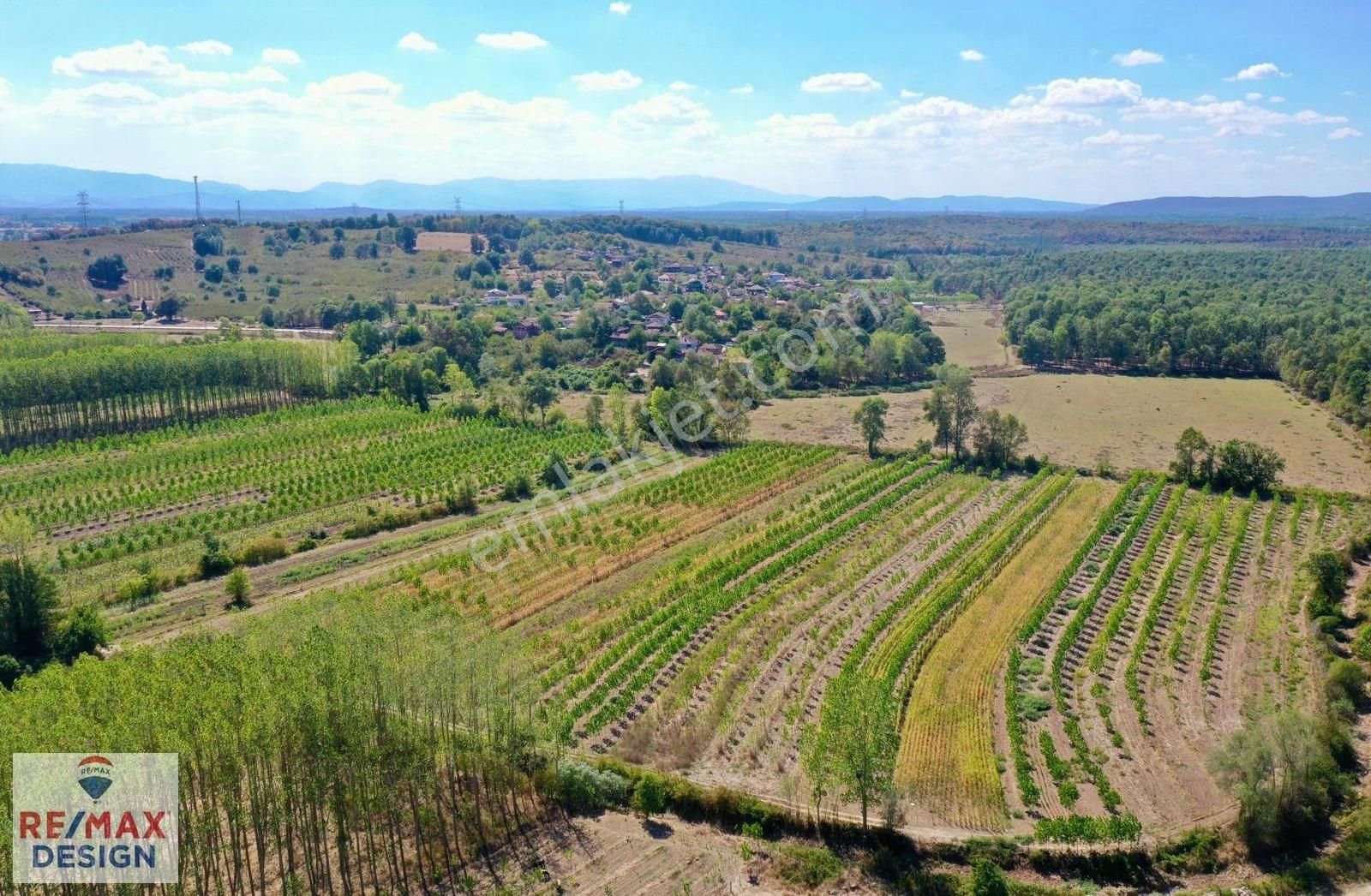 Remax Design Hendek Sivritepe'de 13.635m2 Çiftlik Ruhsatlı Arazi - Görsel 6