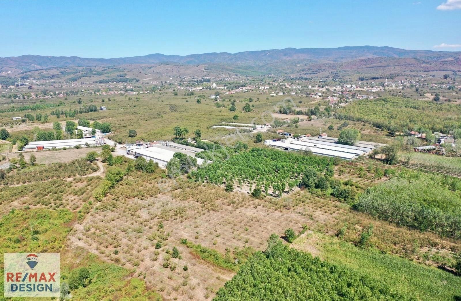 Remax Design Hendek Sivritepe'de 13.635m2 Çiftlik Ruhsatlı Arazi - Görsel 5