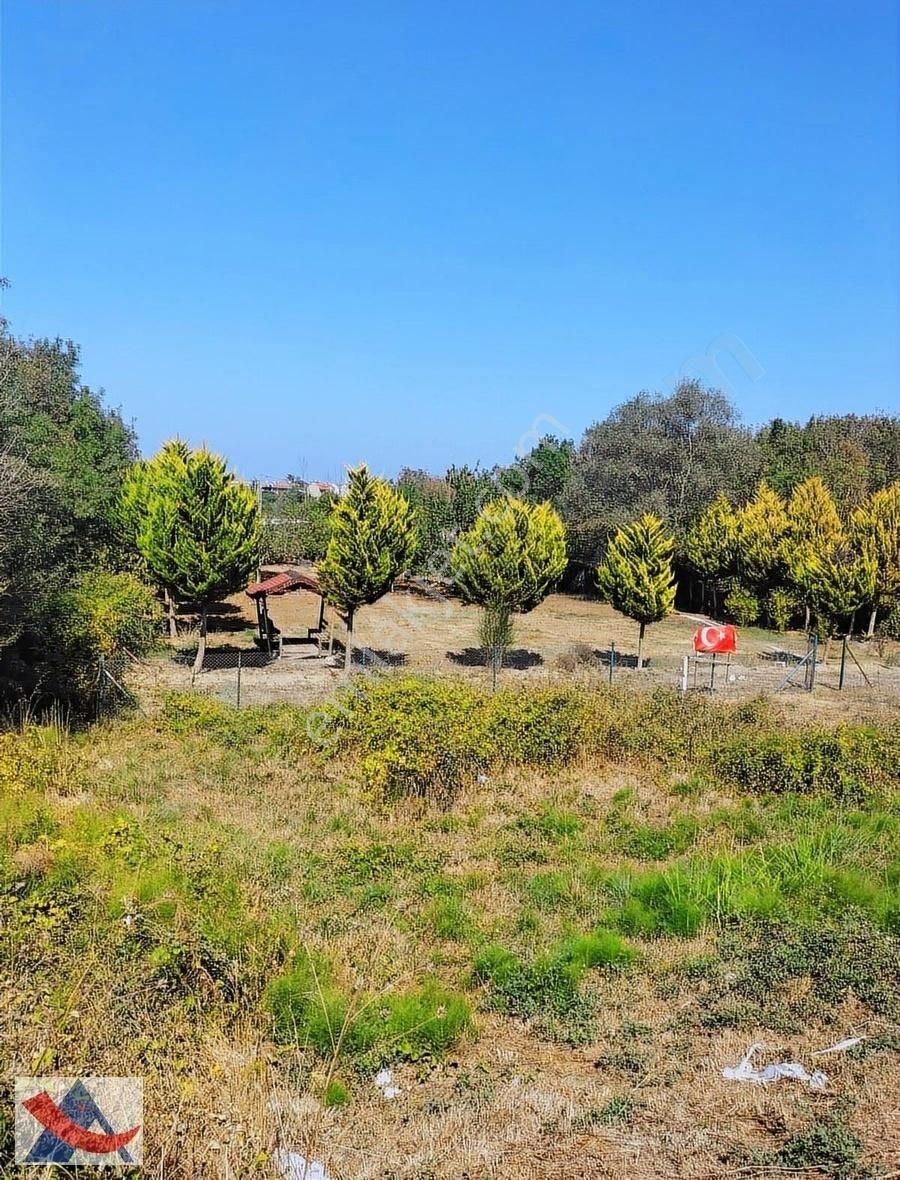 Yetiş Al Dan Kumbaba Şile Oto Yoluna Cephe 3.280 M2 Satılık Arsa - Görsel 20