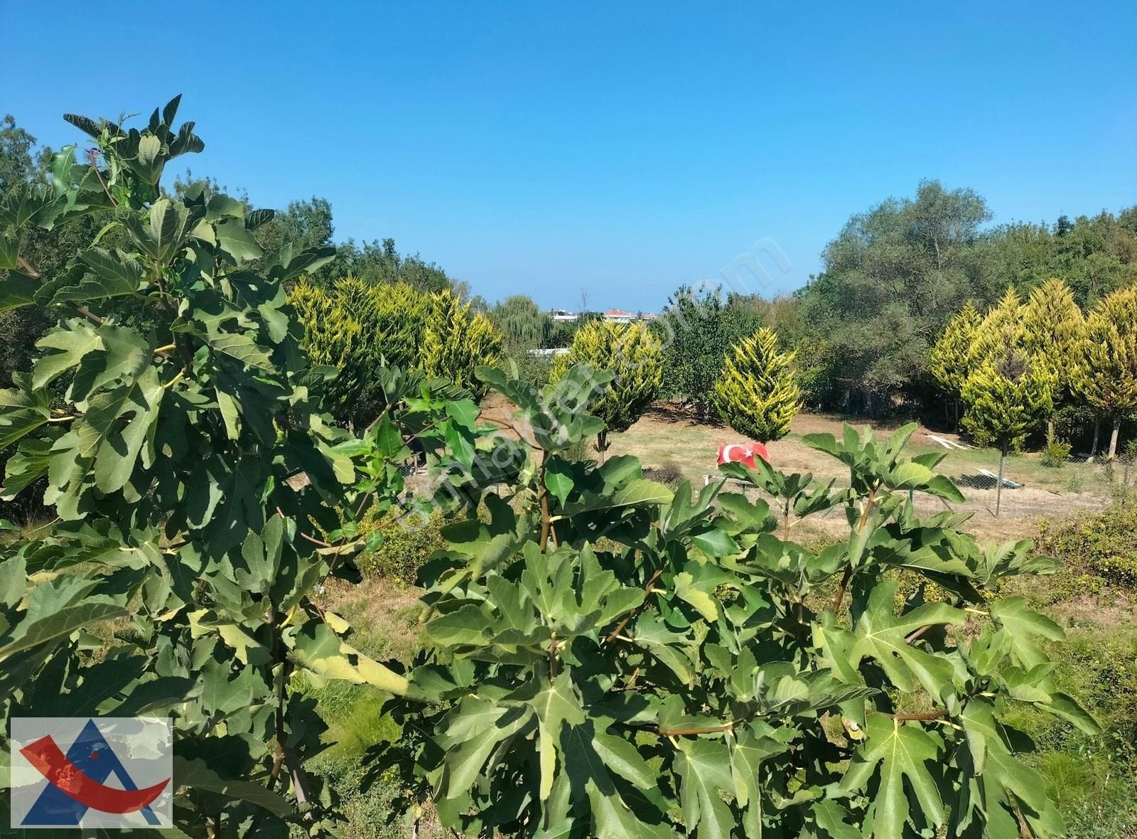 Yetiş Al Dan Kumbaba Şile Oto Yoluna Cephe 3.280 M2 Satılık Arsa - Görsel 24