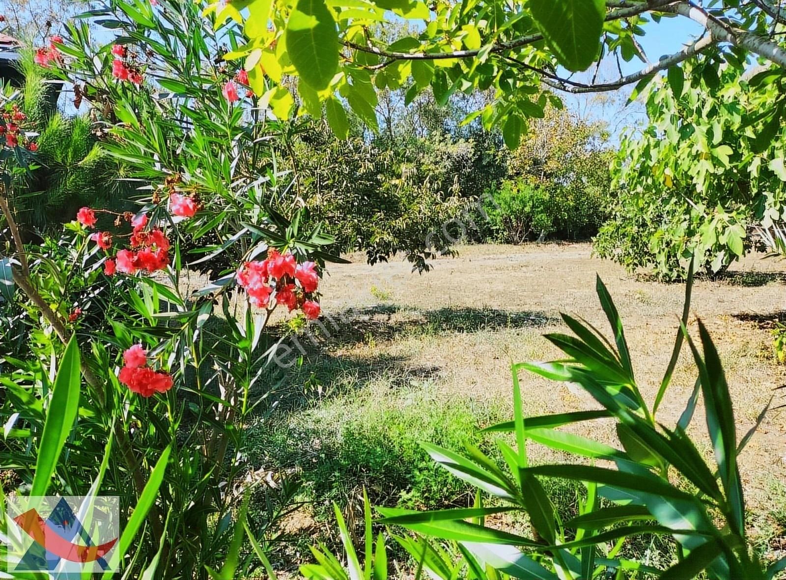 Yetiş Al Dan Kumbaba Şile Oto Yoluna Cephe 3.280 M2 Satılık Arsa - Görsel 7