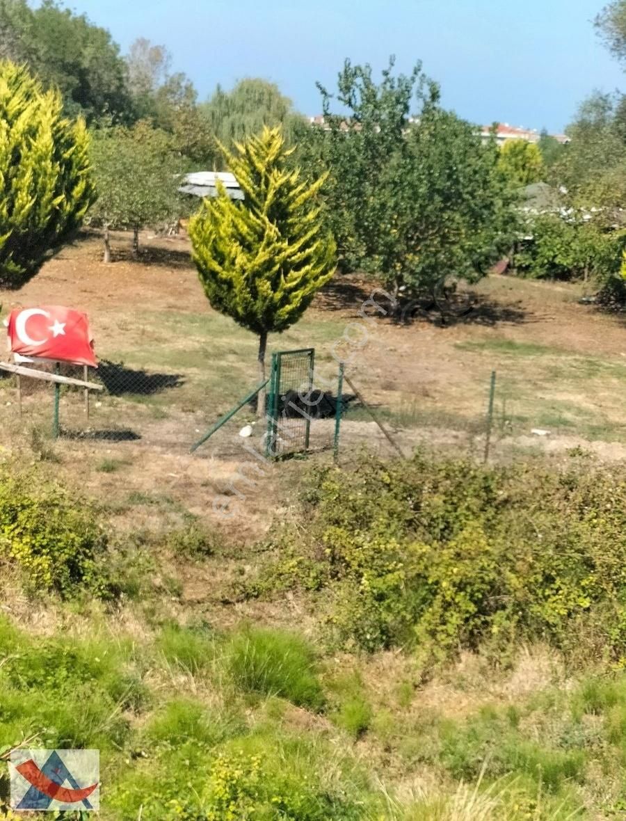 Yetiş Al Dan Kumbaba Şile Oto Yoluna Cephe 3.280 M2 Satılık Arsa - Görsel 16